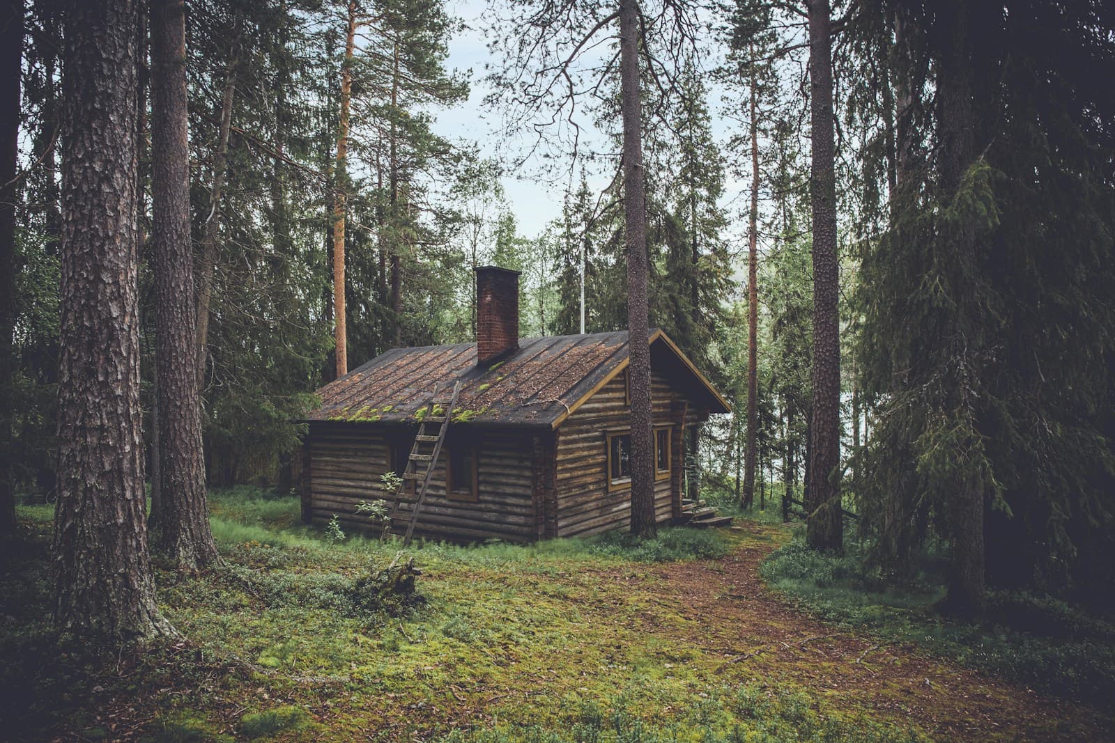 Under the mountain, an illustrative cabin interior
